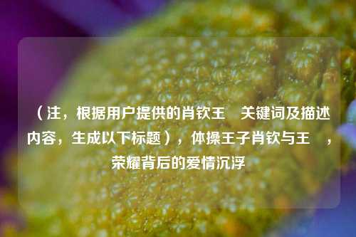 （注，根据用户提供的肖钦王媞关键词及描述内容，生成以下标题），体操王子肖钦与王媞，荣耀背后的爱情沉浮