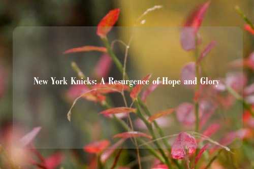 New York Knicks: A Resurgence of Hope and Glory