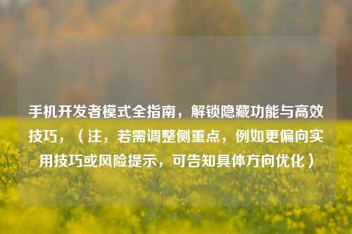手机开发者模式全指南,解锁隐藏功能与高效技巧,(注,若需调整侧重点,例如更偏向实用技巧或风险提示,可告知具体方向优化)