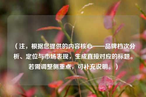 （注，根据您提供的内容核心——品牌档次分析、定位与市场表现，生成直接对应的标题。若需调整侧重点，可补充说明。）
