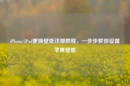 iPhone/iPad更换壁纸详细教程,一步步教你设置苹果壁纸