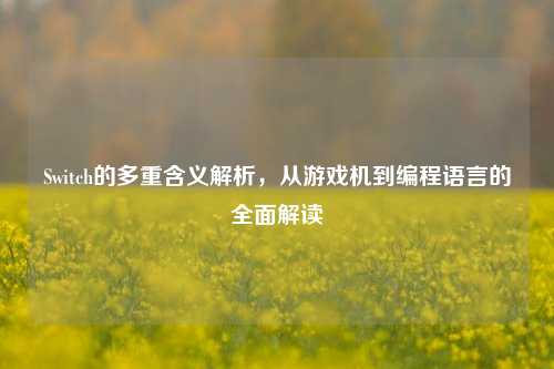 Switch的多重含义解析,从游戏机到编程语言的全面解读
