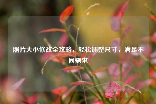 照片大小修改全攻略，轻松调整尺寸，满足不同需求