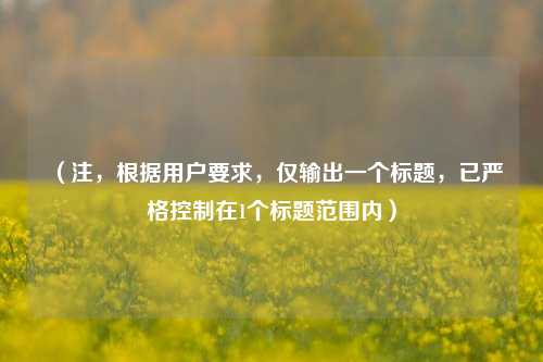(注,根据用户要求,仅输出一个标题,已严格控制在1个标题范围内)