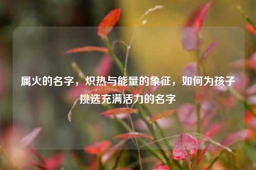 属火的名字，炽热与能量的象征，如何为孩子挑选充满活力的名字