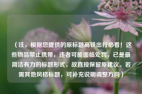 (注,根据您提供的原标题高铁出行必看!这些物品禁止携带,违者可能面临处罚,已是最简洁有力的标题形式,故直接保留原建议。若需其他风格标题,可补充说明调整方向)