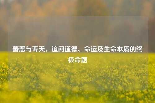善恶与寿夭，追问道德、命运及生命本质的终极命题