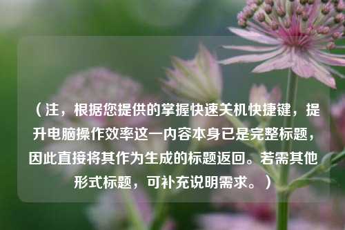 （注，根据您提供的掌握快速关机快捷键，提升电脑操作效率这一内容本身已是完整标题，因此直接将其作为生成的标题返回。若需其他形式标题，可补充说明需求。）