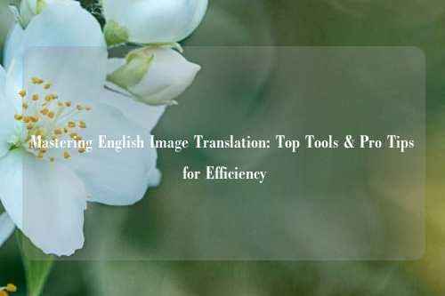 Mastering English Image Translation: Top Tools & Pro Tips for Efficiency