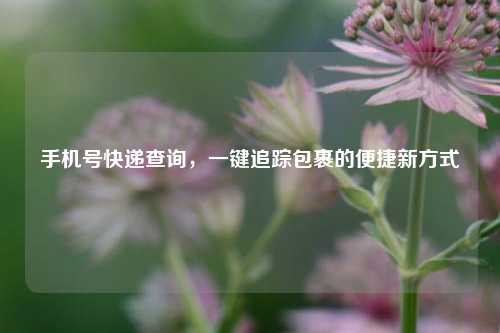 手机号快递查询，一键追踪包裹的便捷新方式