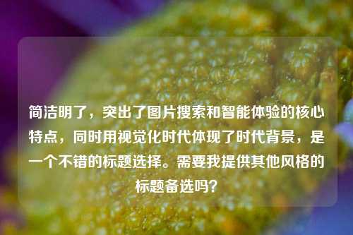 简洁明了，突出了图片搜索和智能体验的核心特点，同时用视觉化时代体现了时代背景，是一个不错的标题选择。需要我提供其他风格的标题备选吗？
