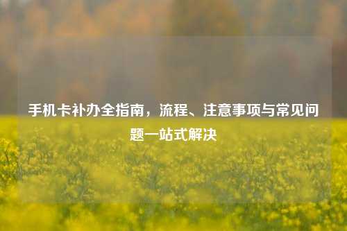 手机卡补办全指南，流程、注意事项与常见问题一站式解决