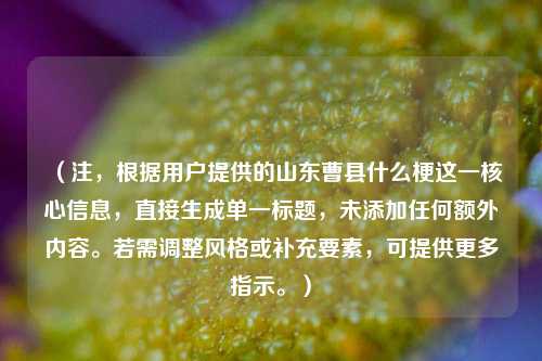 （注，根据用户提供的山东曹县什么梗这一核心信息，直接生成单一标题，未添加任何额外内容。若需调整风格或补充要素，可提供更多指示。）