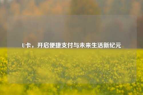 U卡，开启便捷支付与未来生活新纪元