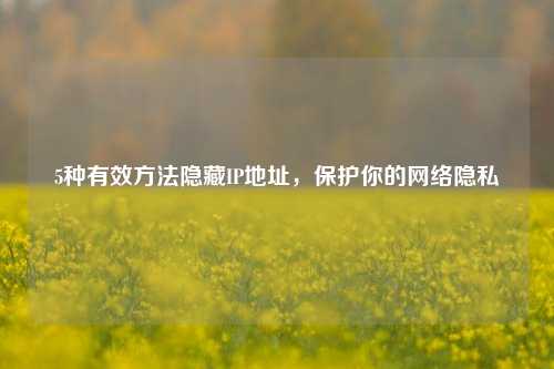 5种有效方法隐藏IP地址，保护你的网络隐私