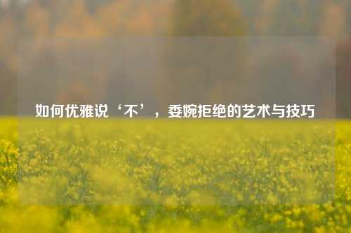 如何优雅说‘不’,委婉拒绝的艺术与技巧