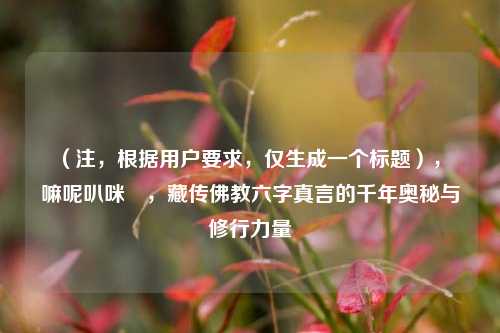 （注，根据用户要求，仅生成一个标题），唵嘛呢叭咪吽，藏传佛教六字真言的千年奥秘与修行力量