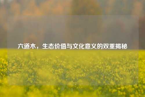 六道木，生态价值与文化意义的双重揭秘