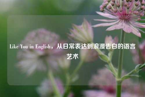 Like You in English，从日常表达到浪漫告白的语言艺术