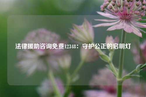 法律援助咨询免费12348:守护公正的启明灯