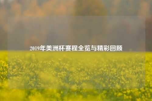 2019年美洲杯赛程全览与精彩回顾