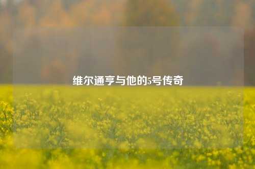 维尔通亨与他的5号传奇