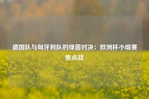 德国队与匈牙利队的绿茵对决：欧洲杯小组赛焦点战
