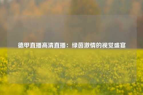 德甲直播高清直播：绿茵激情的视觉盛宴