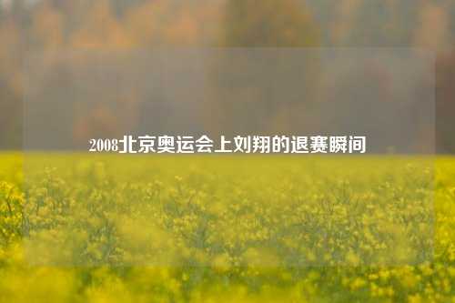 2008北京奥运会上刘翔的退赛瞬间