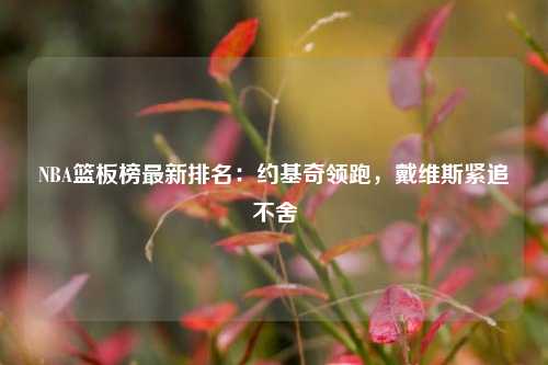 NBA篮板榜最新排名：约基奇领跑，戴维斯紧追不舍