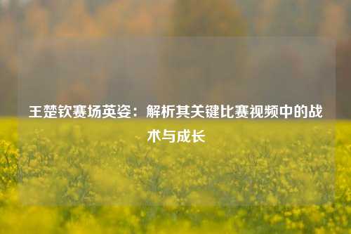 王楚钦赛场英姿：解析其关键比赛视频中的战术与成长