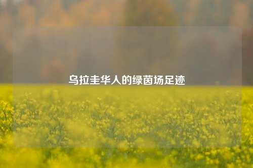 乌拉圭华人的绿茵场足迹