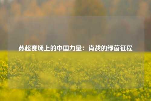 苏超赛场上的中国力量：肖战的绿茵征程