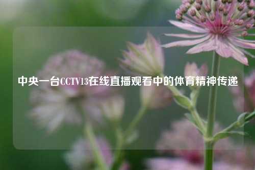 中央一台CCTV13在线直播观看中的体育精神传递