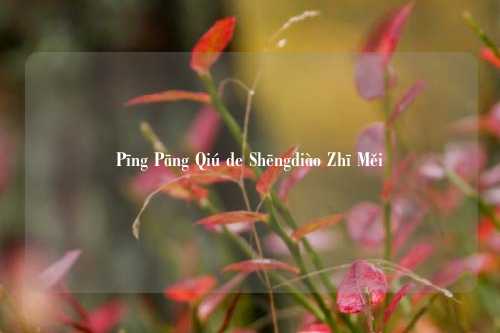 Pīng Pāng Qiú de Shēngdiào Zhī Měi