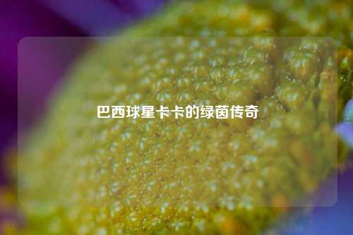 巴西球星卡卡的绿茵传奇