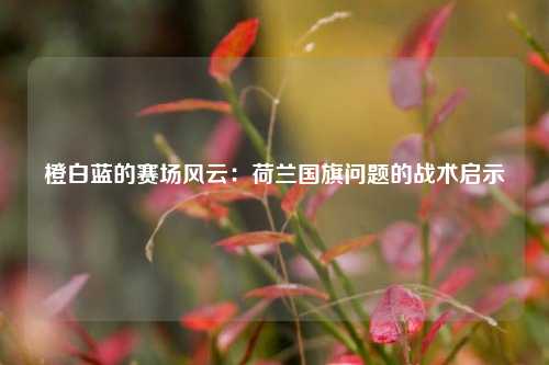 橙白蓝的赛场风云：荷兰国旗问题的战术启示