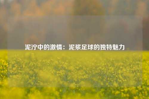 泥泞中的激情：泥浆足球的独特魅力