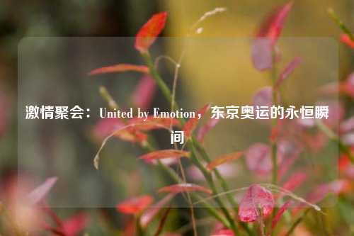 激情聚会：United by Emotion，东京奥运的永恒瞬间