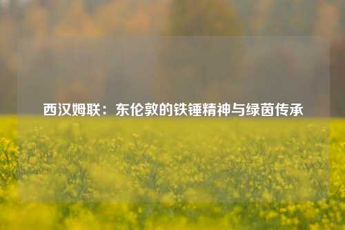 西汉姆联：东伦敦的铁锤精神与绿茵传承