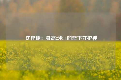  沈梓捷：身高2米11的篮下守护神
