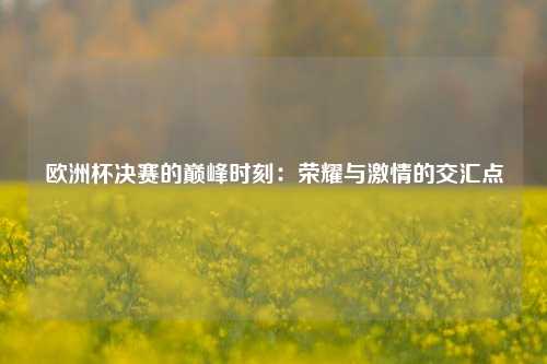 欧洲杯决赛的巅峰时刻：荣耀与激情的交汇点
