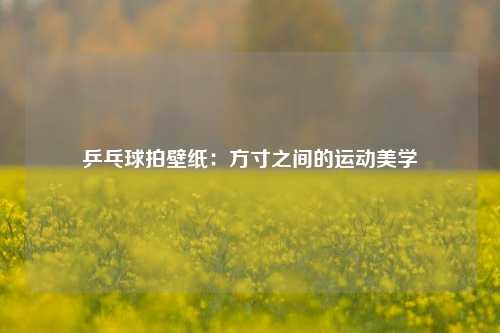 乒乓球拍壁纸：方寸之间的运动美学