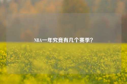 NBA一年究竟有几个赛季？