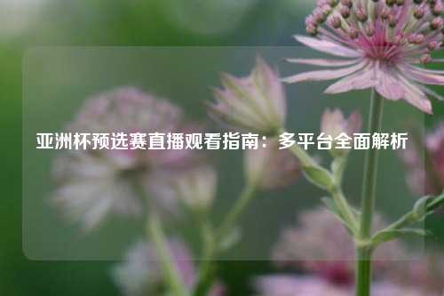 亚洲杯预选赛直播观看指南：多平台全面解析