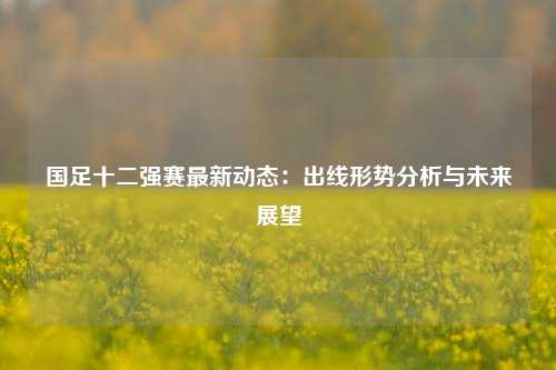 国足十二强赛最新动态：出线形势分析与未来展望