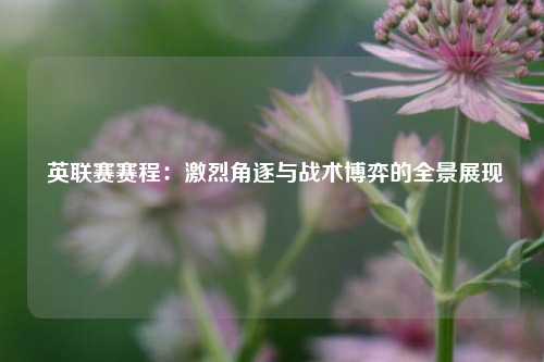  英联赛赛程：激烈角逐与战术博弈的全景展现
