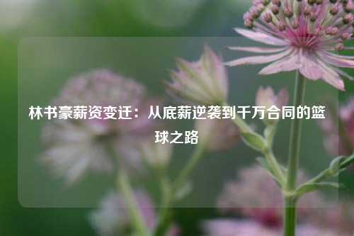 林书豪薪资变迁：从底薪逆袭到千万合同的篮球之路