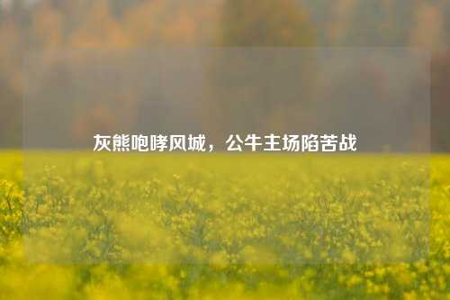 灰熊咆哮风城，公牛主场陷苦战