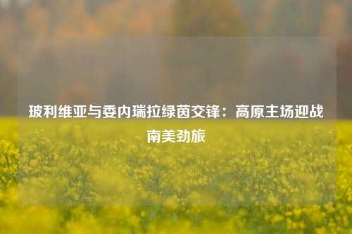 玻利维亚与委内瑞拉绿茵交锋：高原主场迎战南美劲旅